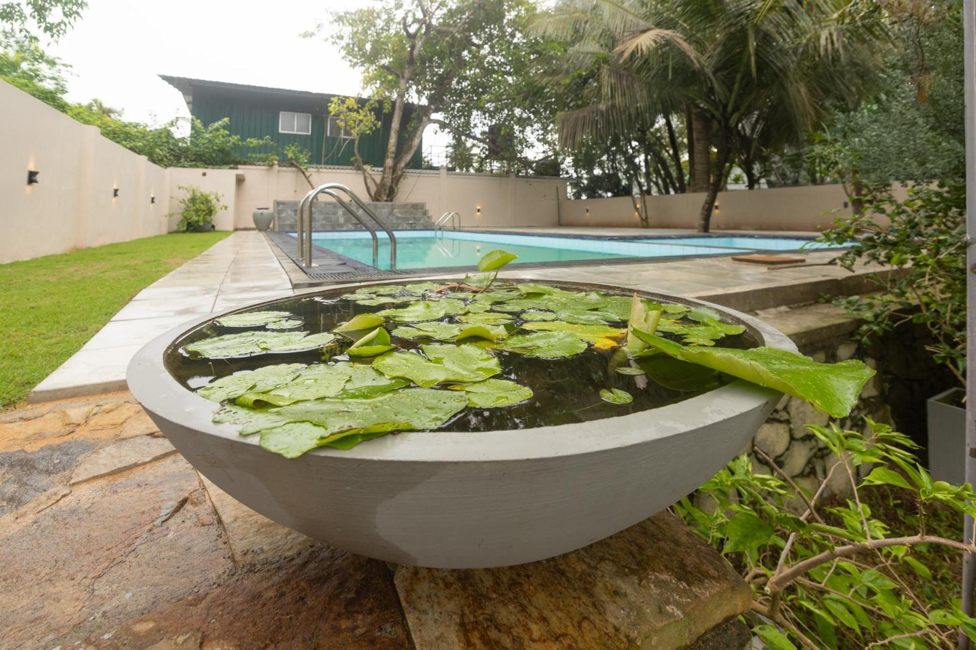 Villa Serenita Велигама Экстерьер фото